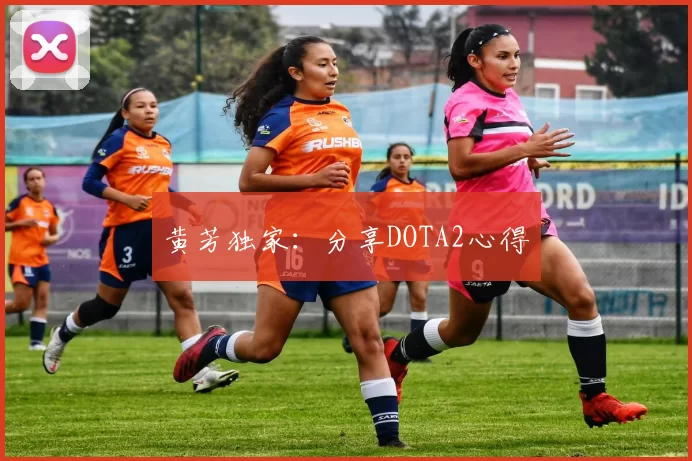 黄芳独家：分享DOTA2心得