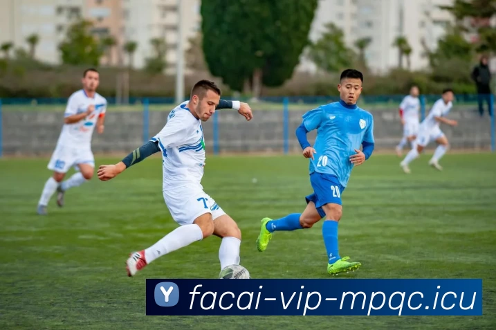 赛后分析：北京乒乓球队与广州乒乓球队的耐力较量与战术思考